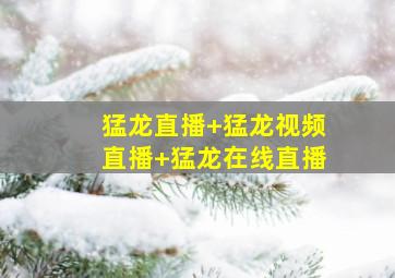 猛龙直播 猛龙视频直播 猛龙在线直播